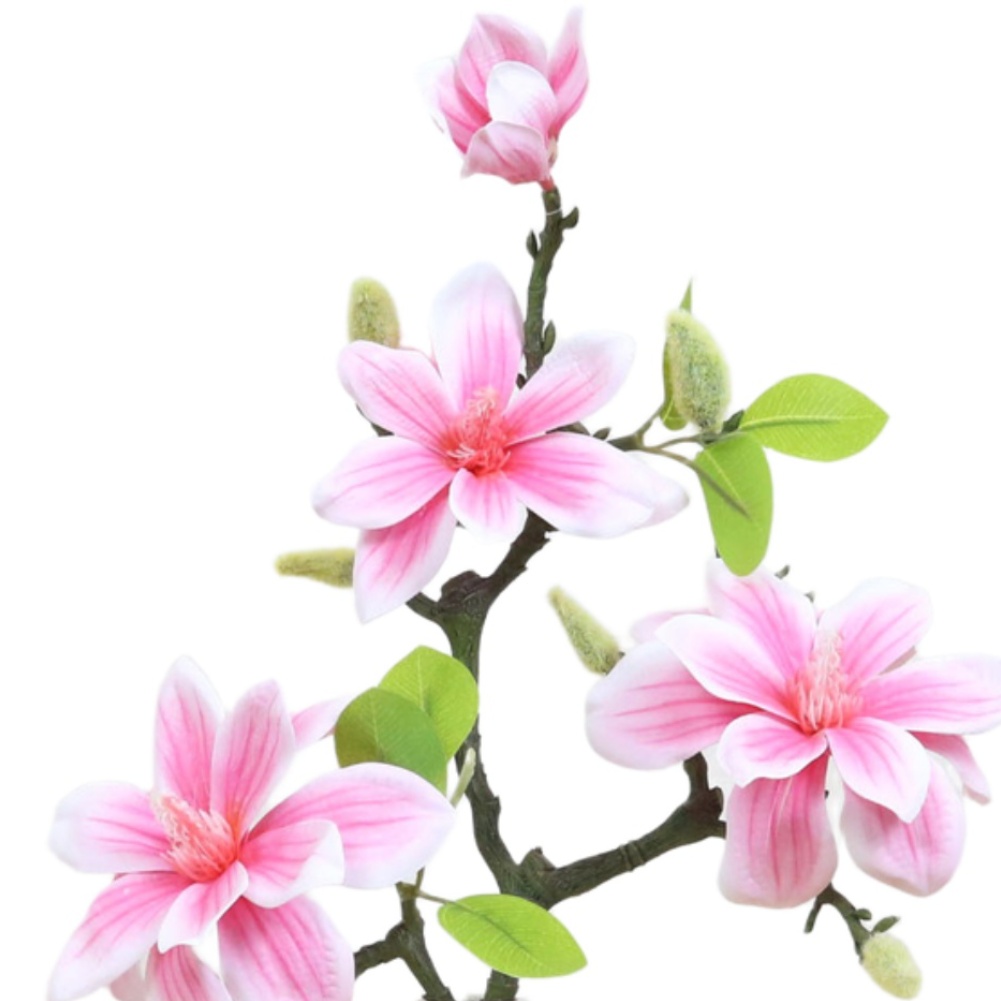 Photography Artificial Lighting - Plastic and Silk Artificial Magnolia Flower