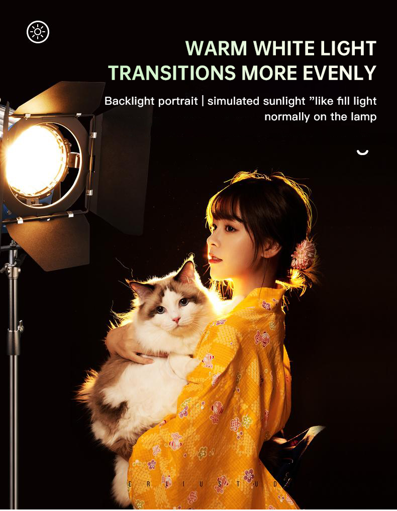 Beiyang 2000W Spotlight Hair L – Photography Lighting Indoor recenzja i cena