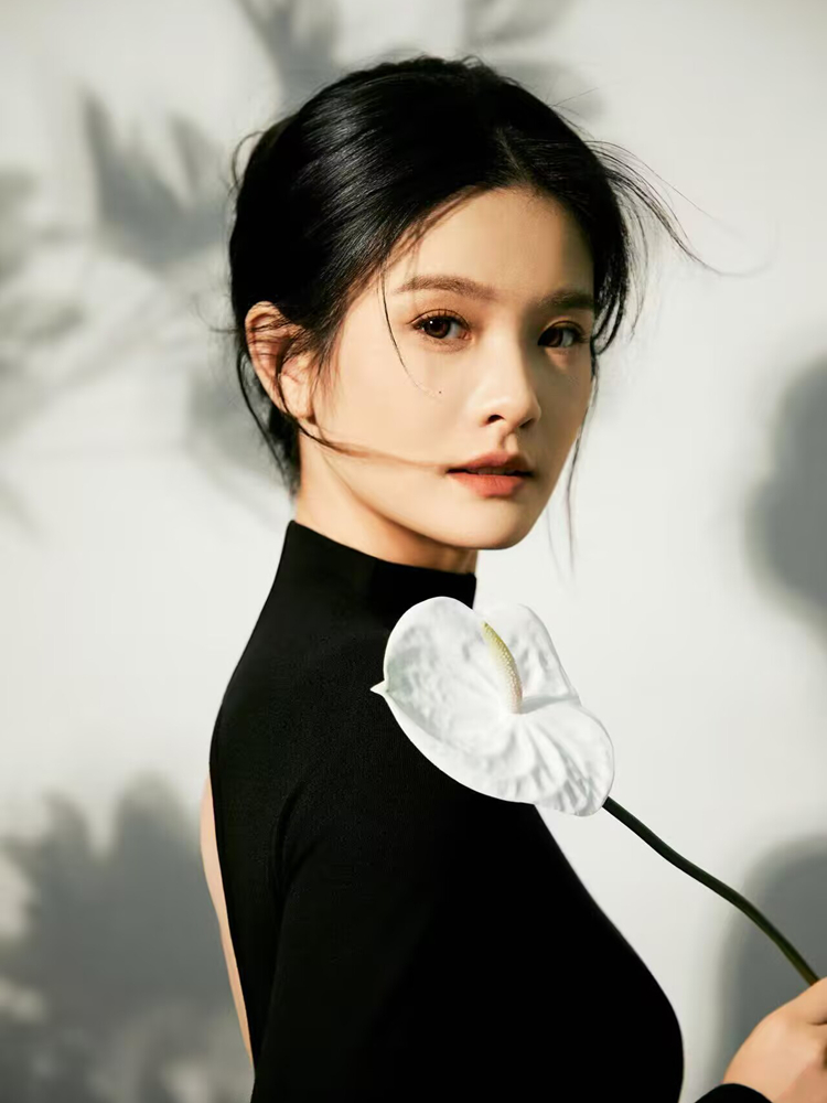 New Simple Chinese Style High- – Photography Lighting Style recenzja i cena
